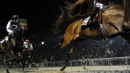 https://betting.betfair.com/horse-racing/Kempton%20close%20up%20hooves%201280.jpg